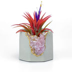 Rose Quartz Geode Planter Natural Stone Crystal Vessel, detail shot - House Of Avana