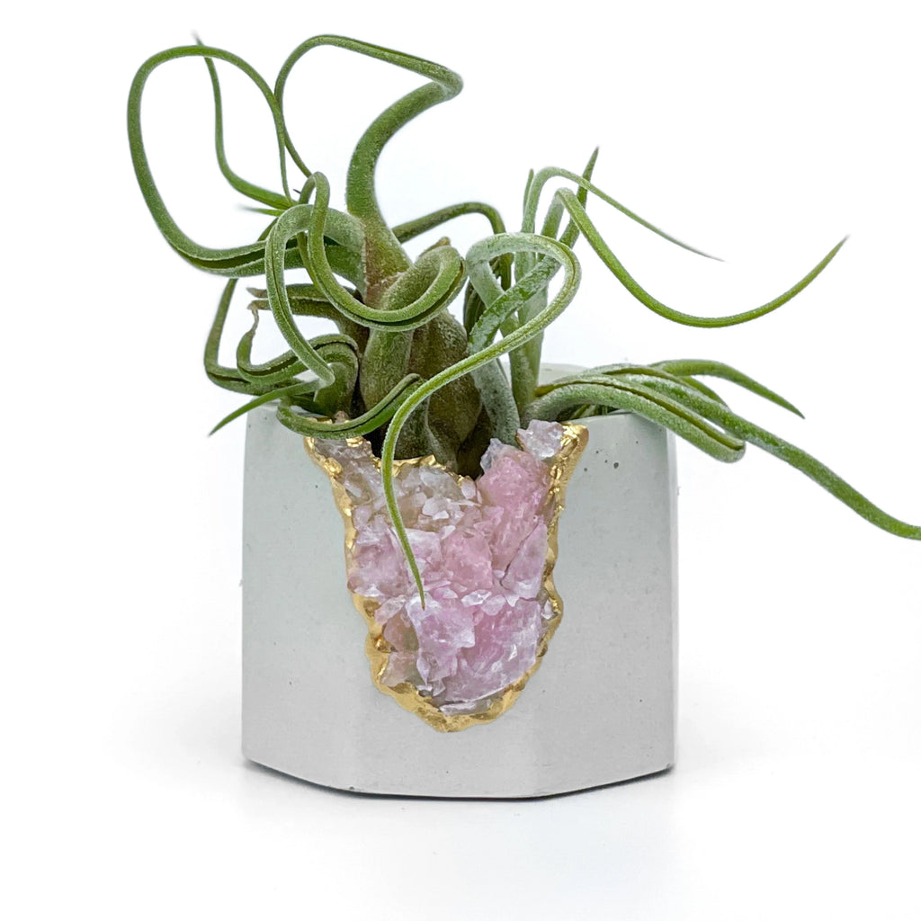 Rose Quartz Geode Planter Natural Stone Crystal Vessel, angled view - House Of Avana