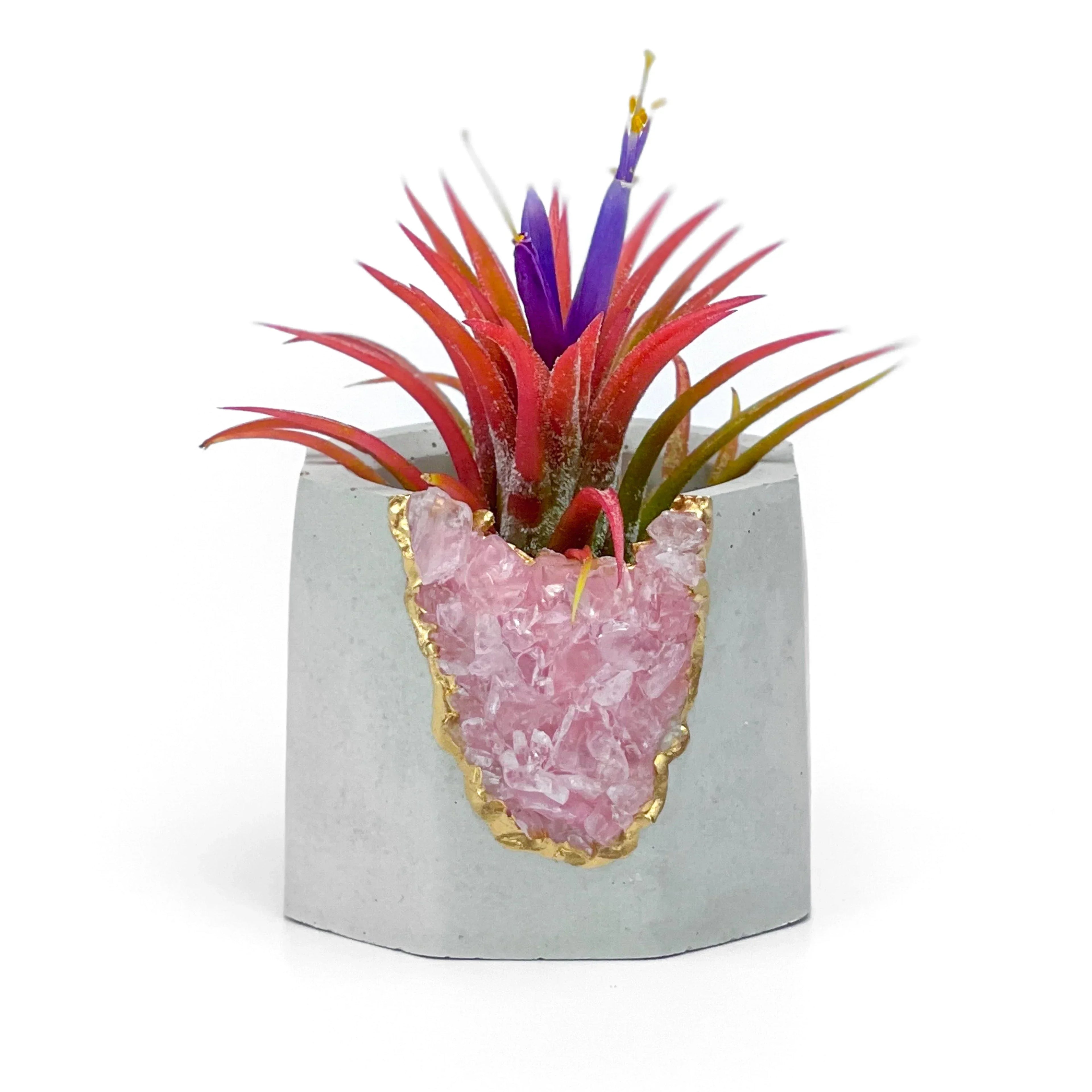 Rose Quartz Geode Planter with Natural Stone Layers, back view - House Of Avana