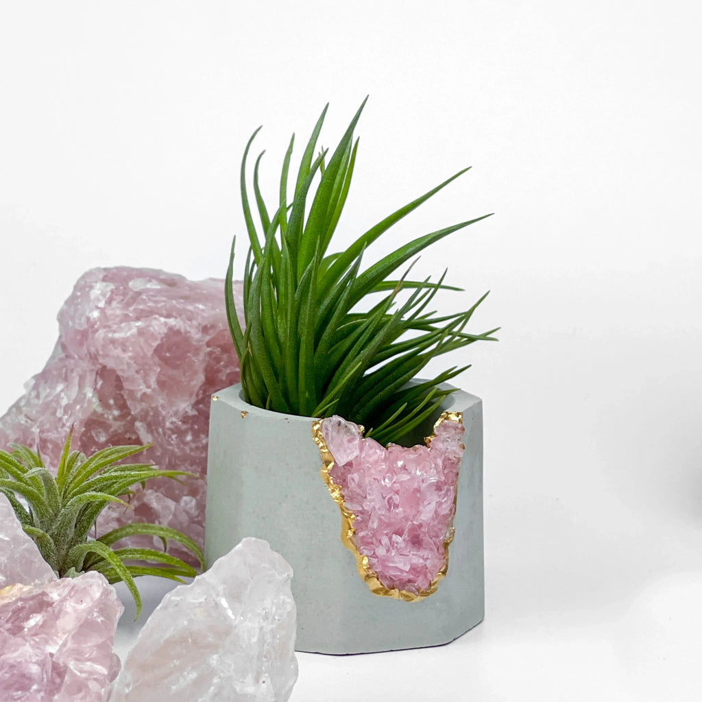 Rose Quartz Geode Planter with Natural Stone Layers, lifestyle image - House Of Avana