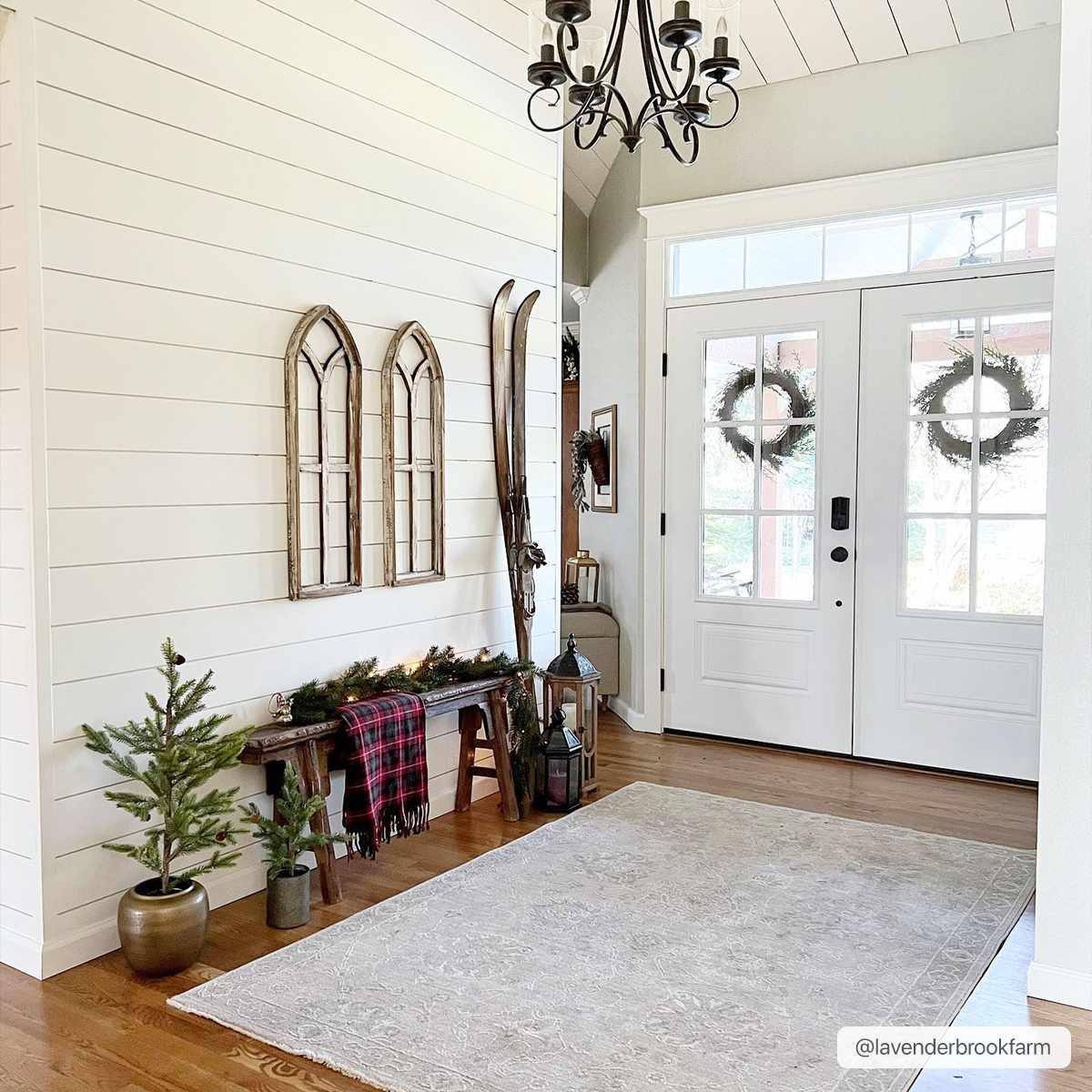 Albuquerque Area Rug - House Of Avana