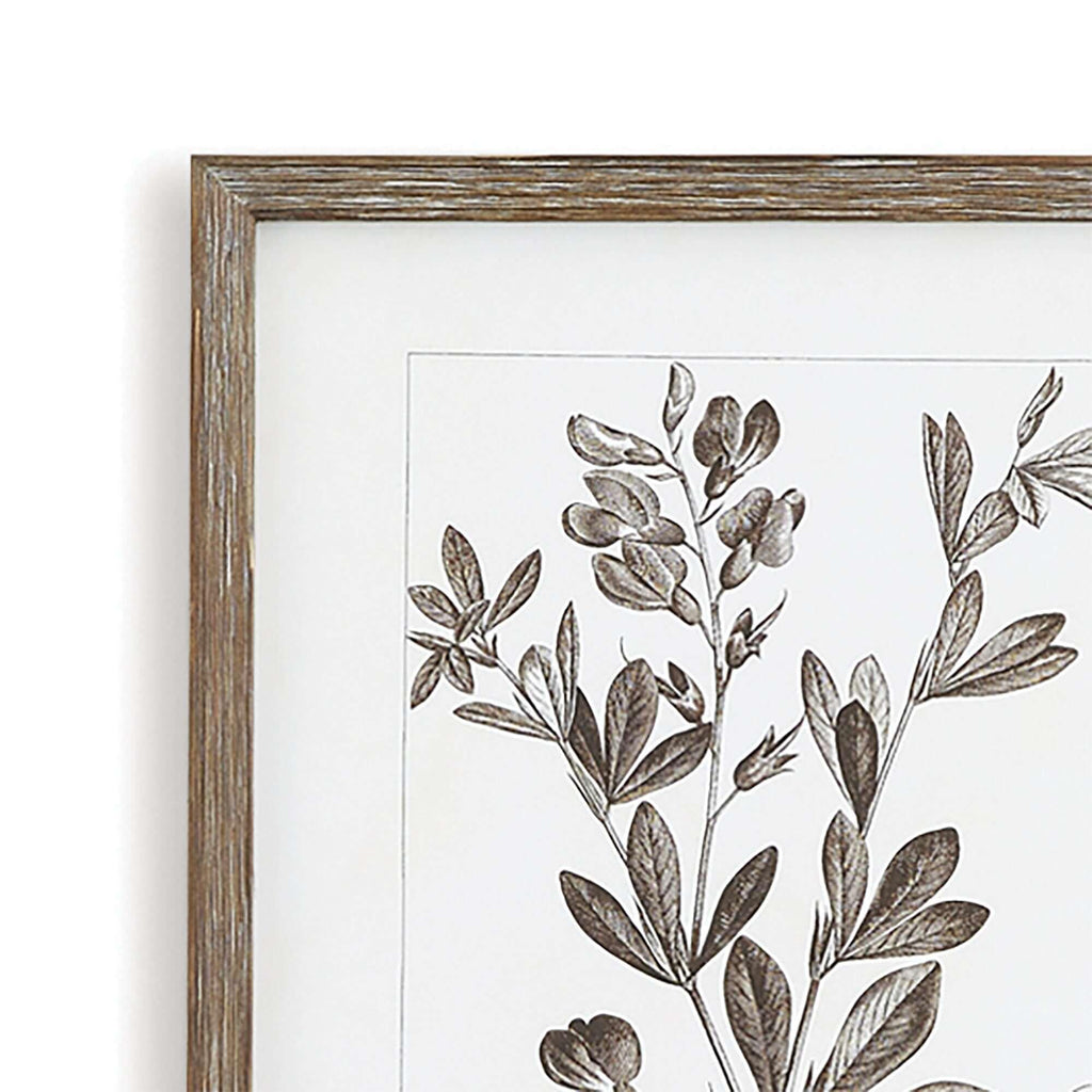 Rustic Botanical Sepia Wall Art Prints (Set of 9) Vintage Shopper