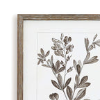 Rustic Botanical Sepia Wall Art Prints (Set of 9) Vintage Shopper