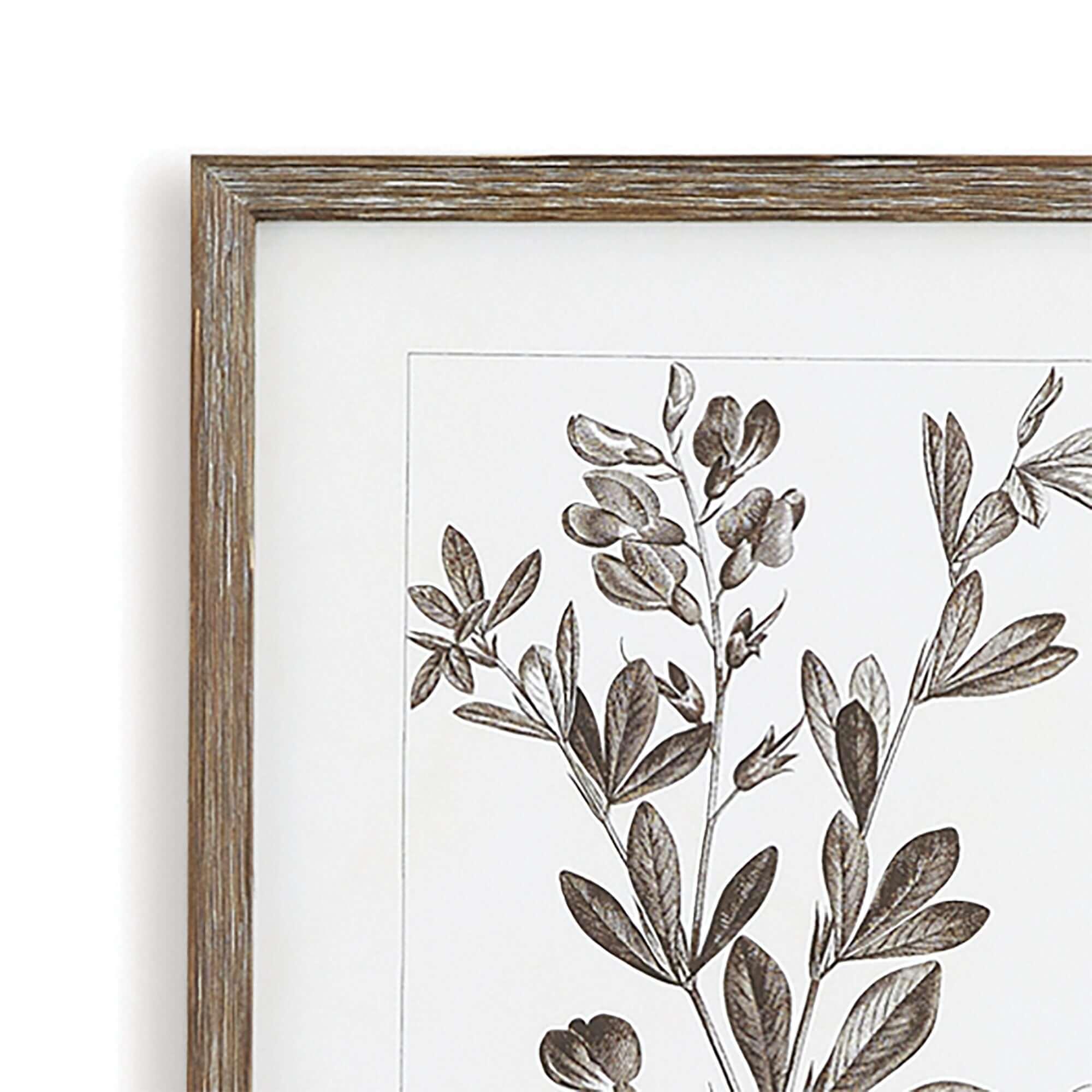 Rustic Botanical Sepia Wall Art Prints (Set of 9) Vintage Shopper