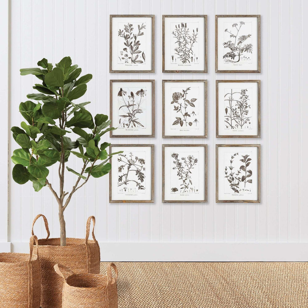 Rustic Botanical Sepia Wall Art Prints (Set of 9) Vintage Shopper