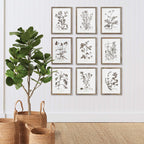 Rustic Botanical Sepia Wall Art Prints (Set of 9) Vintage Shopper