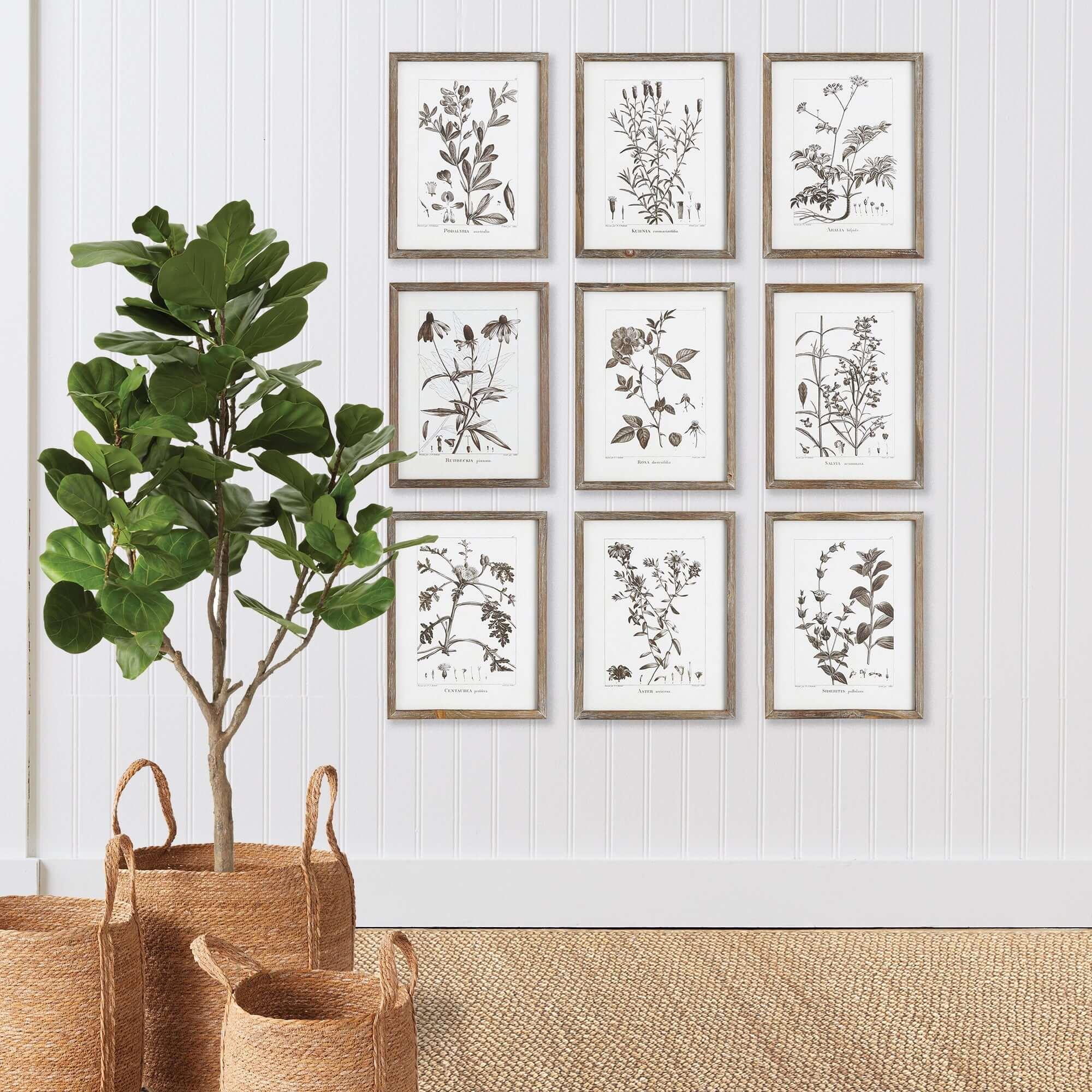 Rustic Botanical Sepia Wall Art Prints (Set of 9) Vintage Shopper
