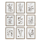 Rustic Botanical Sepia Wall Art Prints (Set of 9) Vintage Shopper