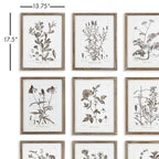Rustic Botanical Sepia Wall Art Prints (Set of 9) Vintage Shopper