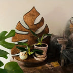 Rustic natural wood wall shelf with leaf design, easy mounting - House of Avana