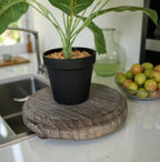 Rustic Wood Stand