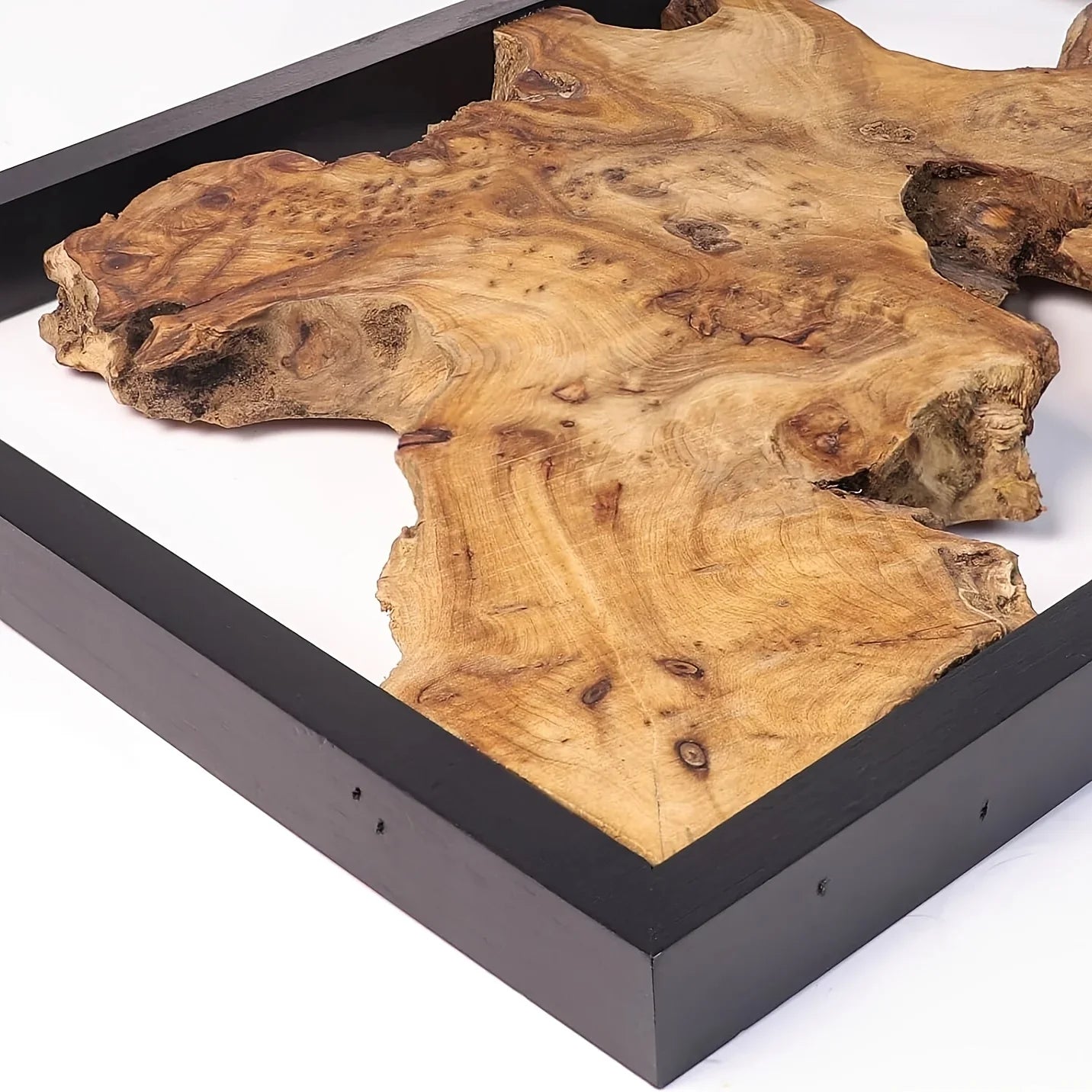 Dark brown hand-polished wood wall panel with tree ring patterns, rustic wood grain - House of Avana