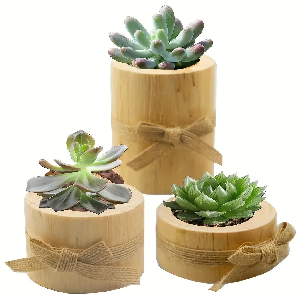 Multifunctional Wooden Holders for Candles and Planters, angled view - House Of Avana