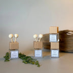 Sea Minerals Car Diffuser Grand Candles LLC