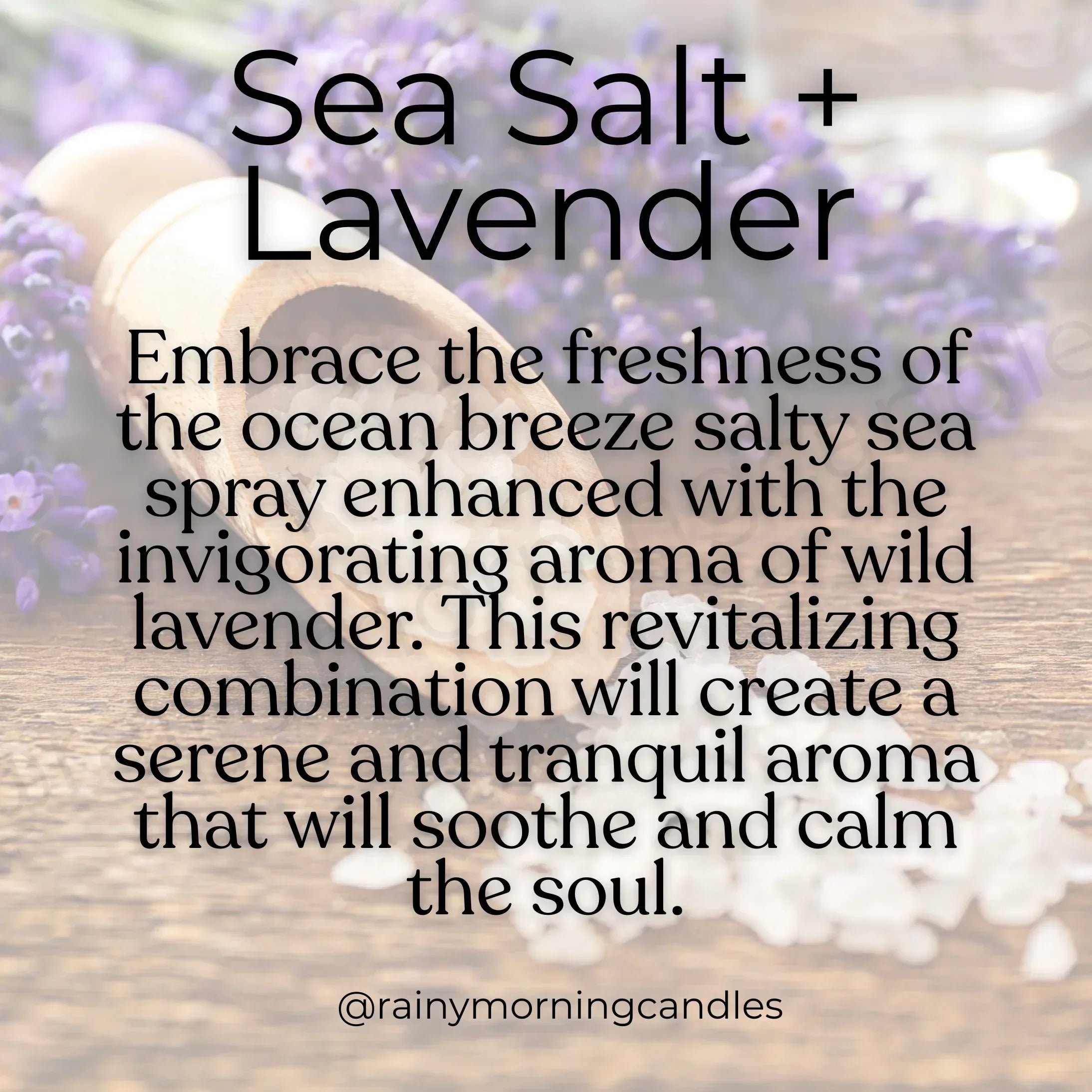 Sea Salt + Lavender | Wax Melts