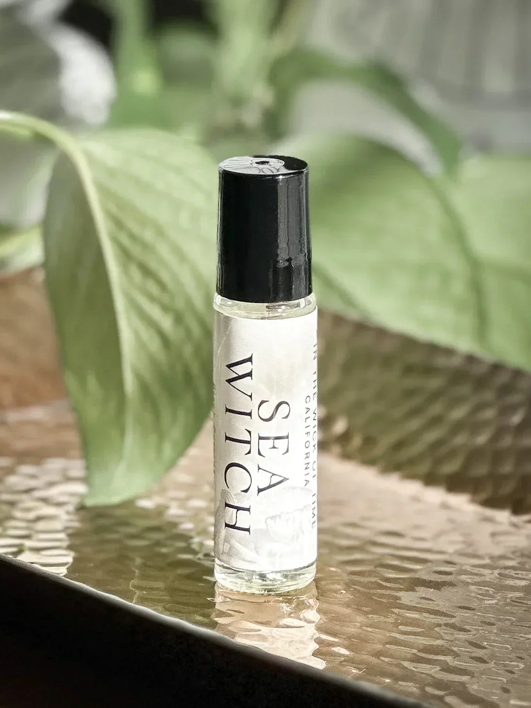 Sea Witch Perfume Oil In the Wick of Time