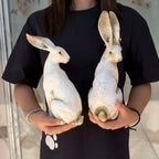 Set of 2 American-Style Long-Eared Rabbits with a Yellow And White Moss Design, Perfect for Spring And Summer. These Hand-Painted Resin Crafts Stand 12 Inches Tall And Make Great Decorative Gifts for Easter, Christmas, And Mo