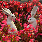 Set of 2 American-Style Long-Eared Rabbits with a Yellow And White Moss Design, Perfect for Spring And Summer. These Hand-Painted Resin Crafts Stand 12 Inches Tall And Make Great Decorative Gifts for Easter, Christmas, And Mo