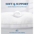Set of 2 Machine Washable Down Alternative Bed Pillow with Cotton Cover - Queen