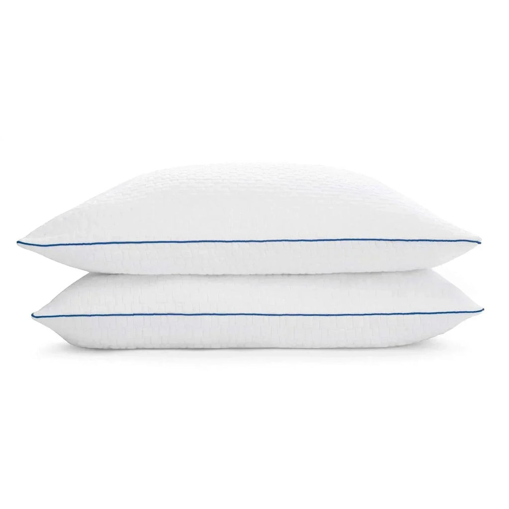 Set of 2 Queen size Memory Foam Pillow with Removable Machine Washable Cover