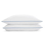 Set of 2 Queen size Memory Foam Pillow with Removable Machine Washable Cover