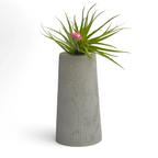 SKINNY MINI VASE | AIR PLANT HOLDER AURA 8 HOME