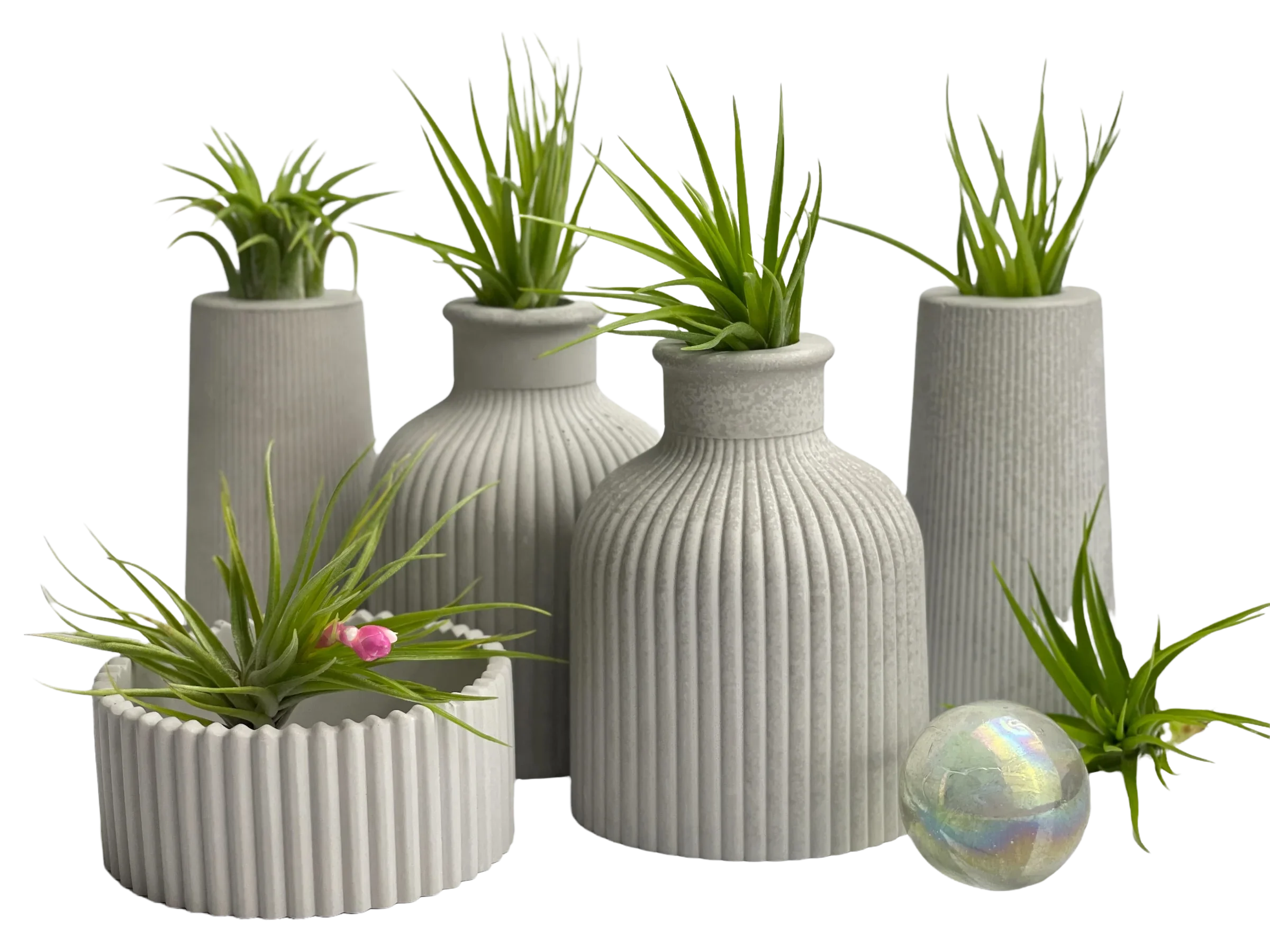 SKINNY MINI VASE | AIR PLANT HOLDER AURA 8 HOME