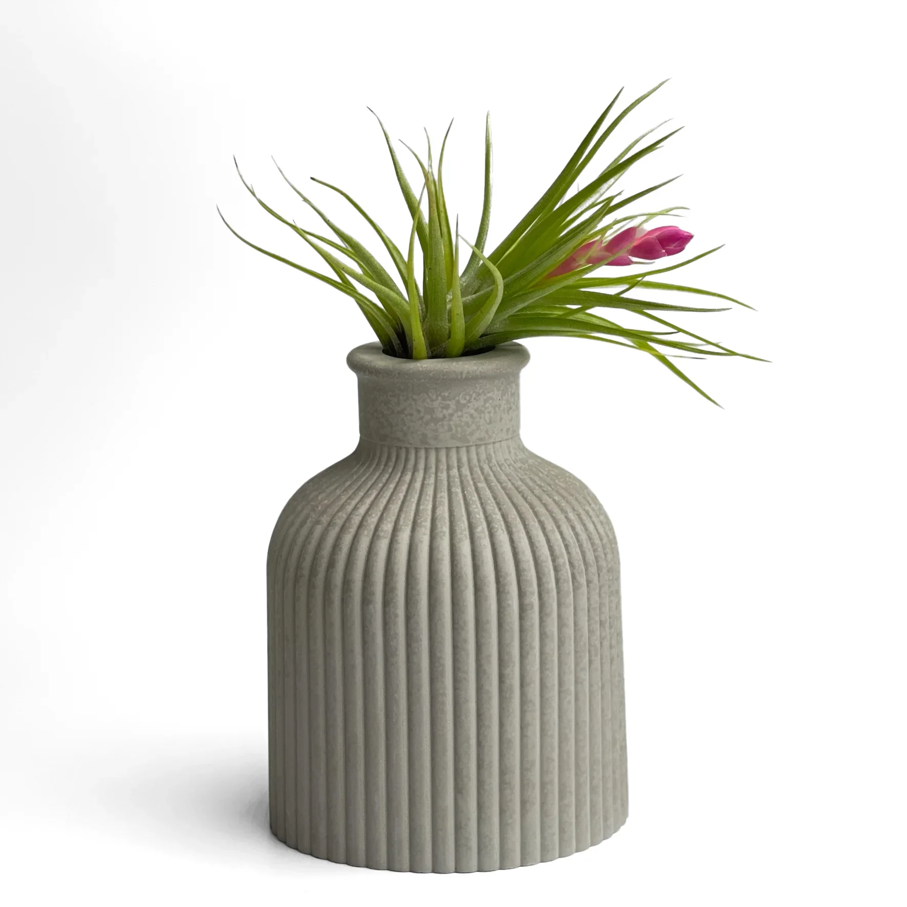 SKINNY MINI VASE | AIR PLANT HOLDER AURA 8 HOME