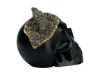 Skull Decor - Black Pyrite Accent, product packaging - House Of Avana