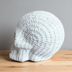 Skull Me