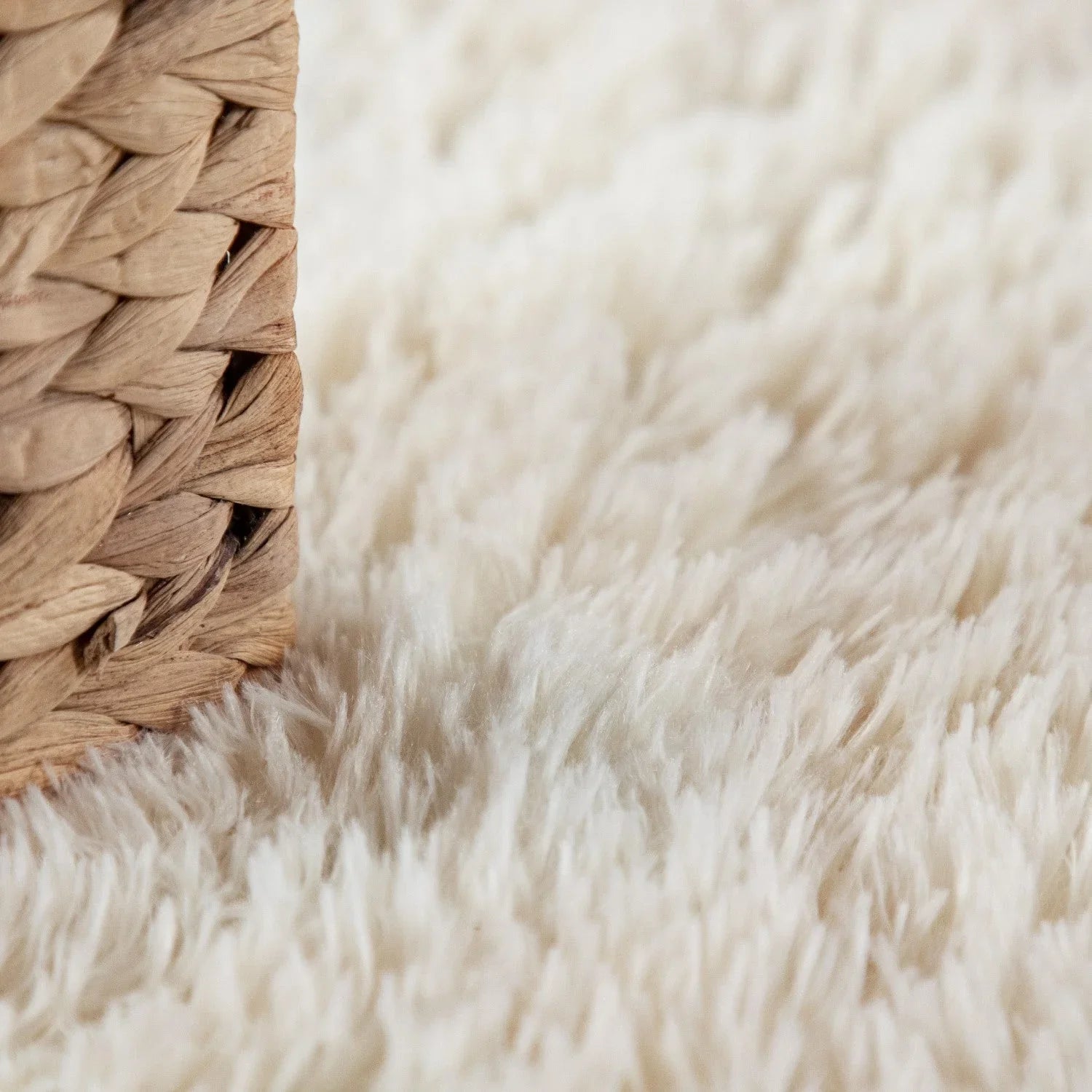 Solid Shag Rug Silky Soft & Fluffy In Ivory RugYourHome