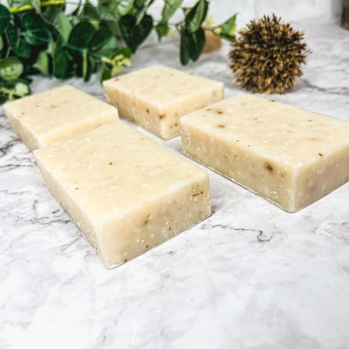 Spearmint Basil Scrub Gia Roma