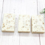 Spearmint Basil Scrub Gia Roma