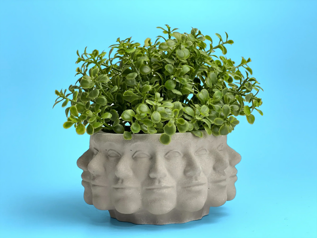 Ceramic succulent planter with multiple faces, earthy tones, unique design - House of Avana