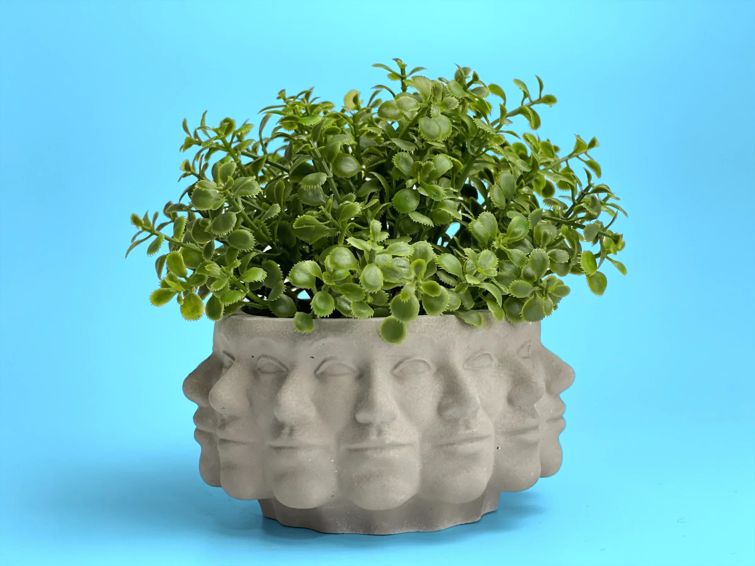 Ceramic succulent planter with multiple faces, earthy tones, unique design - House of Avana