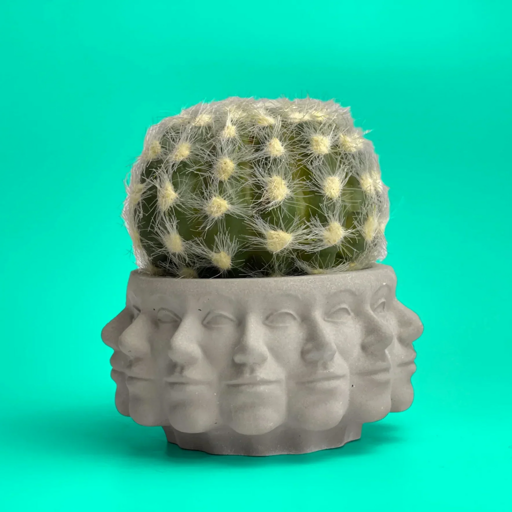 Ceramic succulent planter with multiple faces, earthy tones, unique design - House of Avana