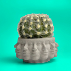 Ceramic succulent planter with multiple faces, earthy tones, unique design - House of Avana