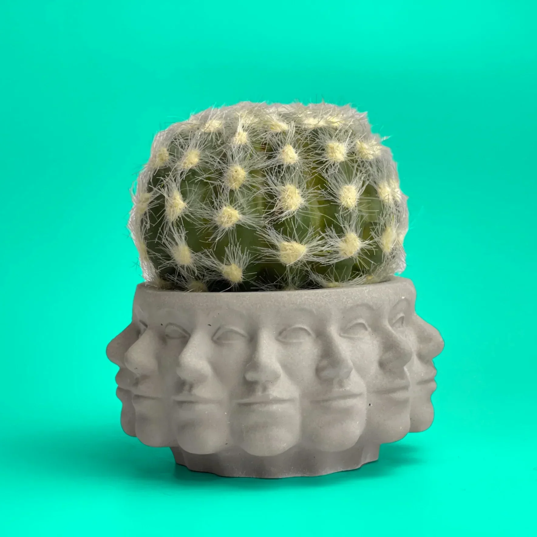 Ceramic succulent planter with multiple faces, earthy tones, unique design - House of Avana