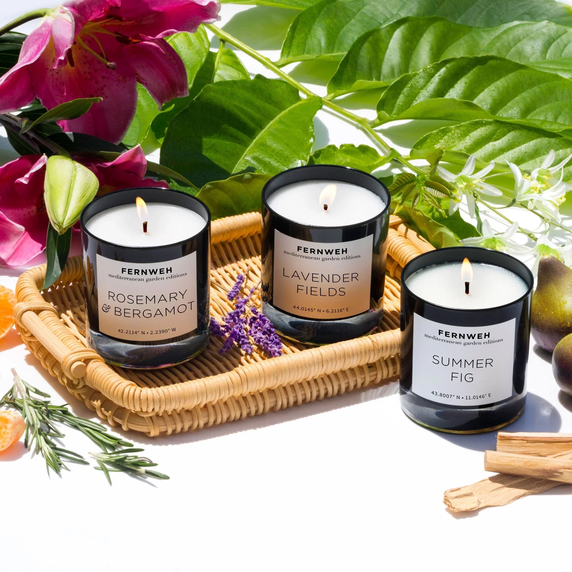 Summer Fig Scented Soy Candle Fernweh Editions