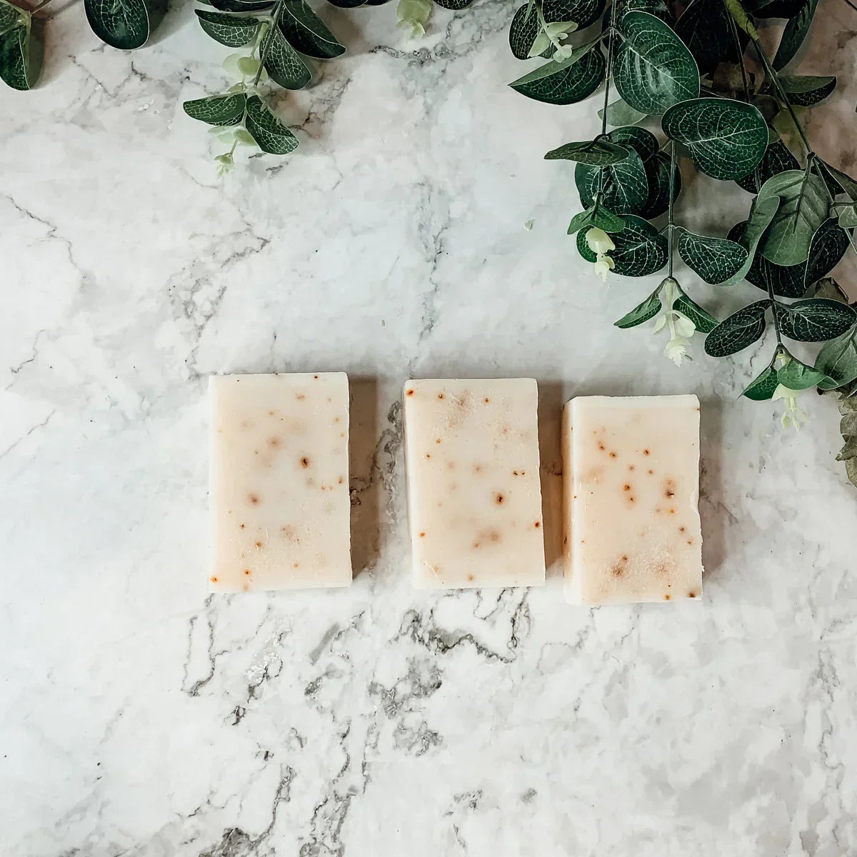 Tea Tree Mint Gia Roma