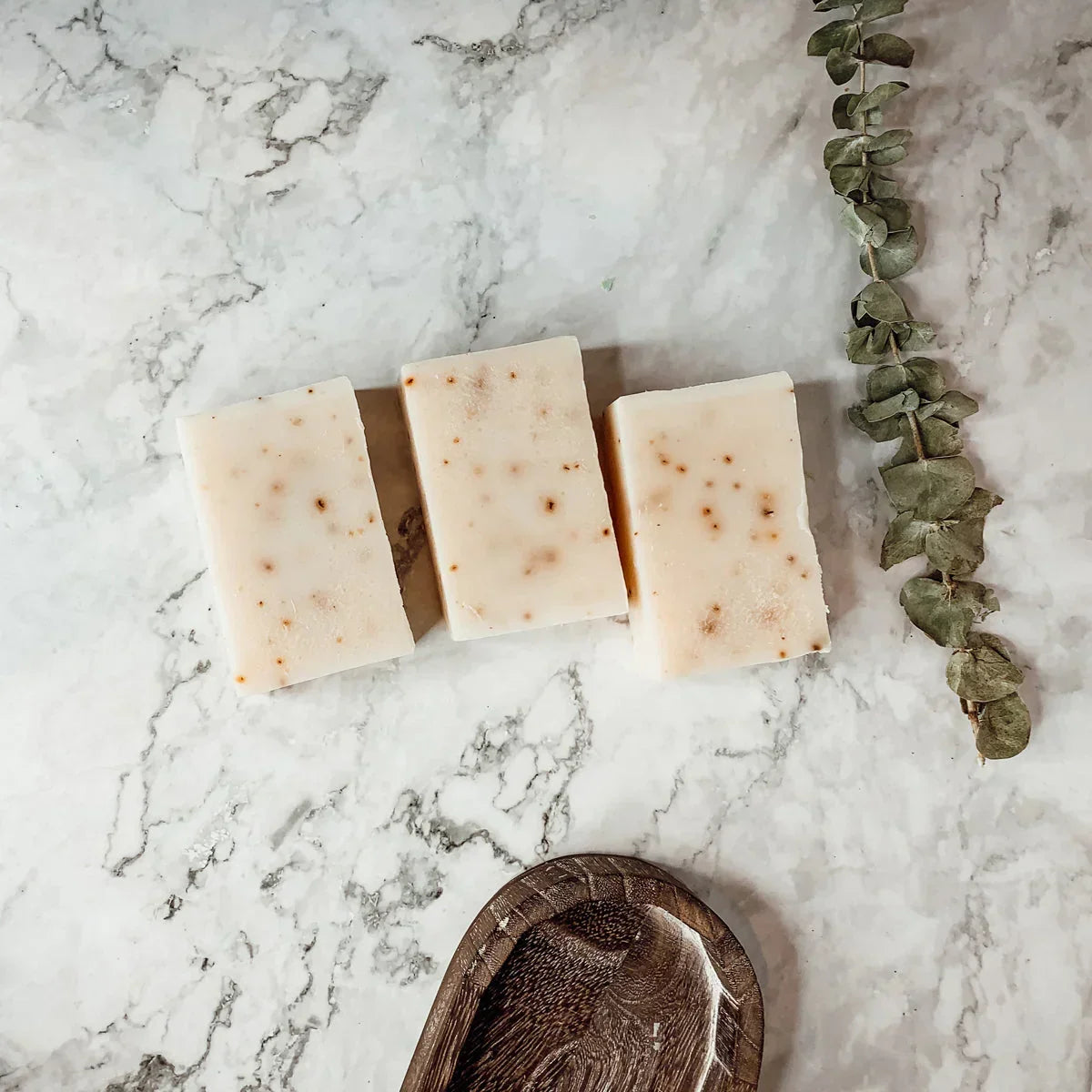 Tea Tree Mint Gia Roma