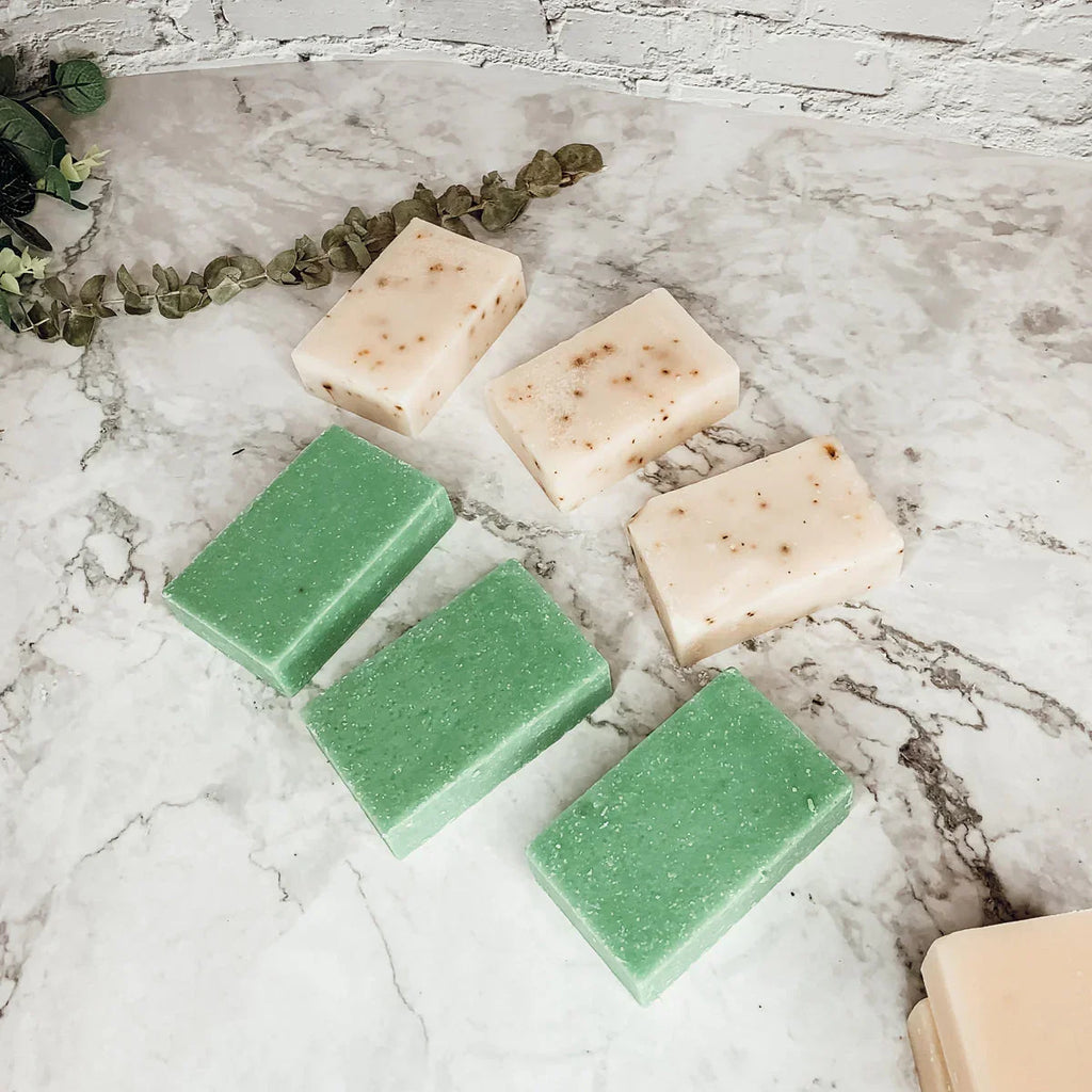 Tea Tree Mint Gia Roma