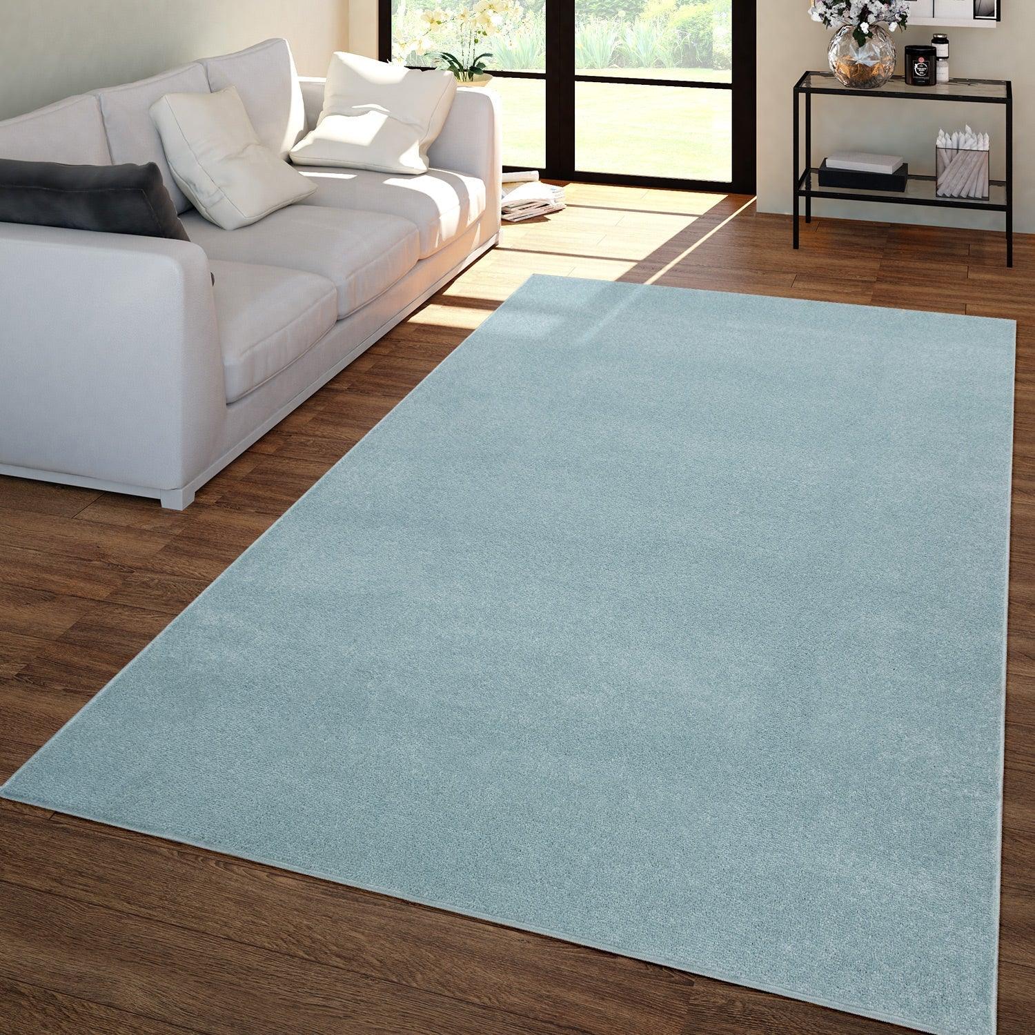 Solid Flatweave Rug Porto for Living Room - Light Blue RugYourHome