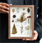 "The Botanist's Journal" Pressed Flower Art Frame