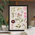 "The Botanist's Journal" Pressed Flower Art Frame