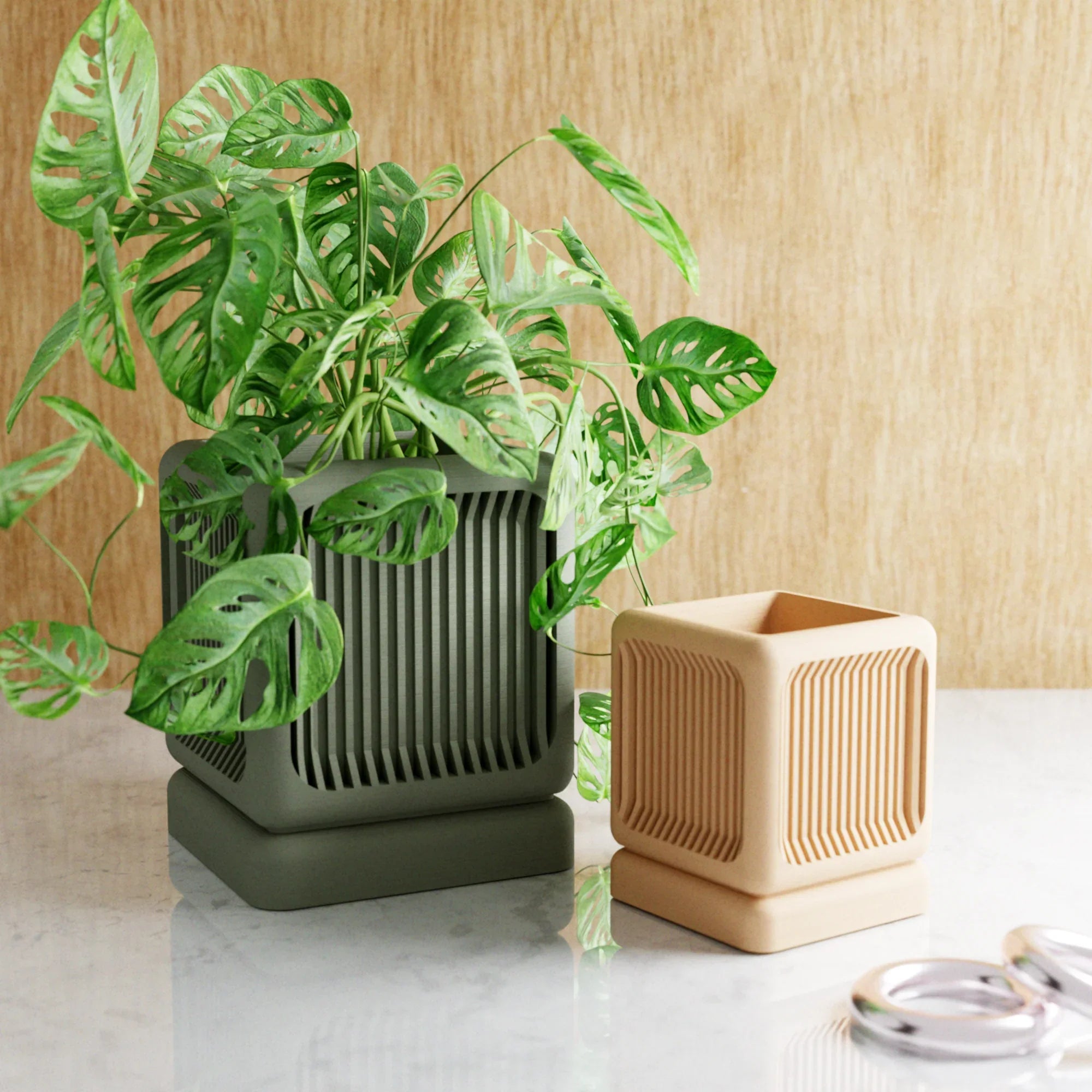 The Box Planter, front view - House Of Avana