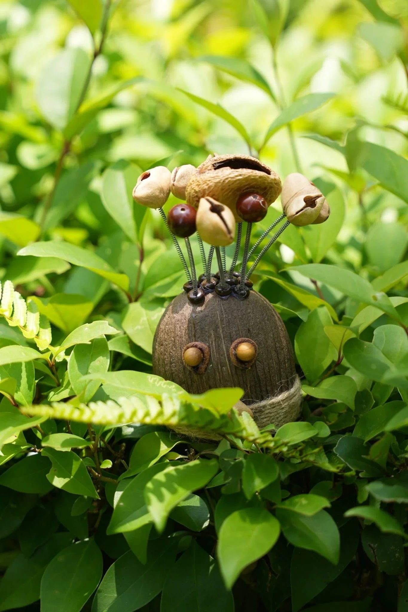 The Crazy Hair Seed Spirit