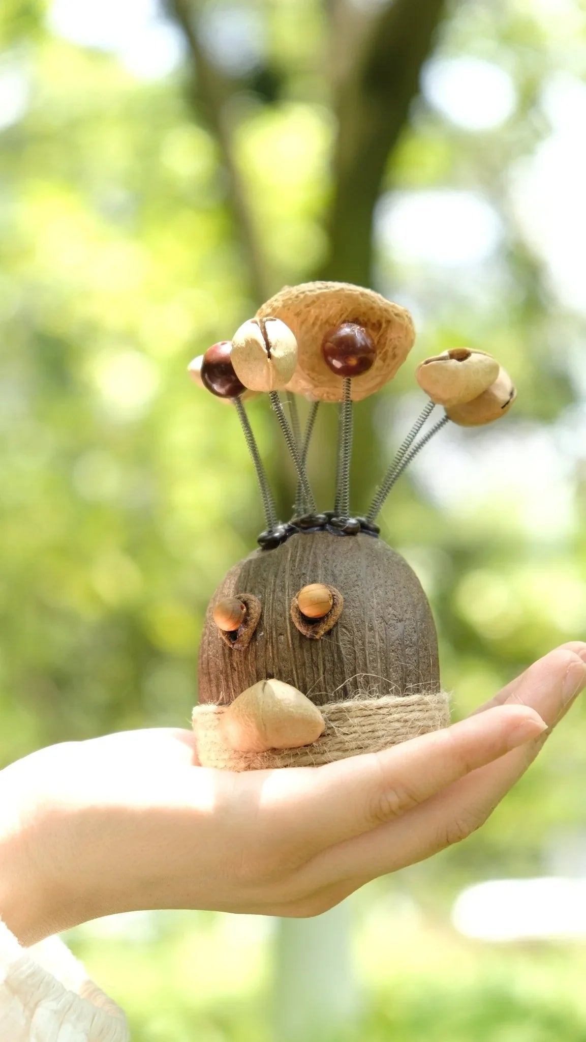 The Crazy Hair Seed Spirit