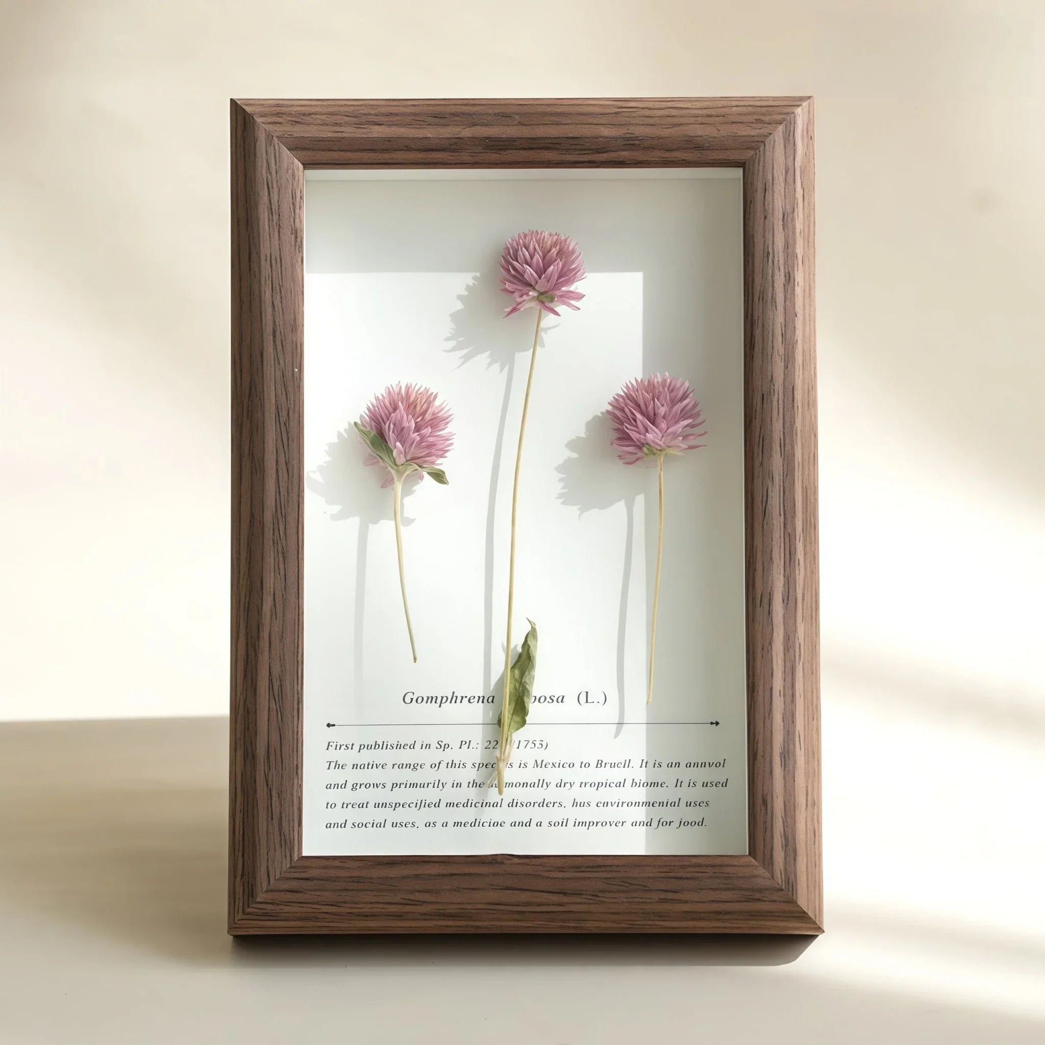 "The Landscape Garden"  Real Flower Shadow Box
