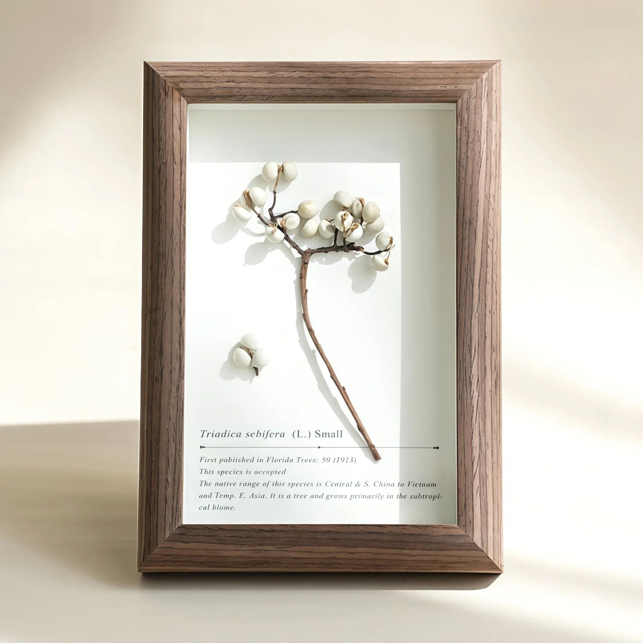 "The Landscape Garden"  Real Flower Shadow Box